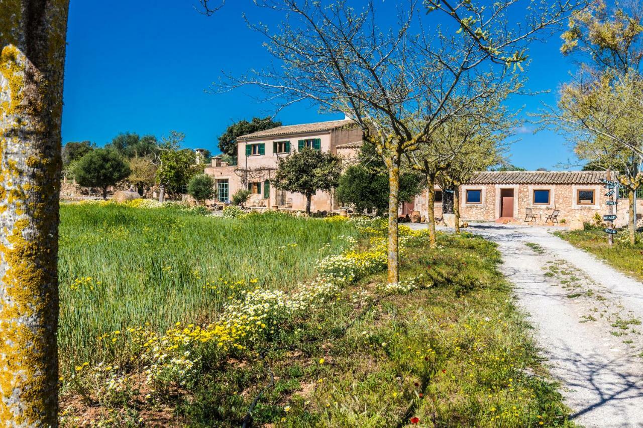 Finca Agroturismo Sa Cova Den Borino Campos  Exterior photo