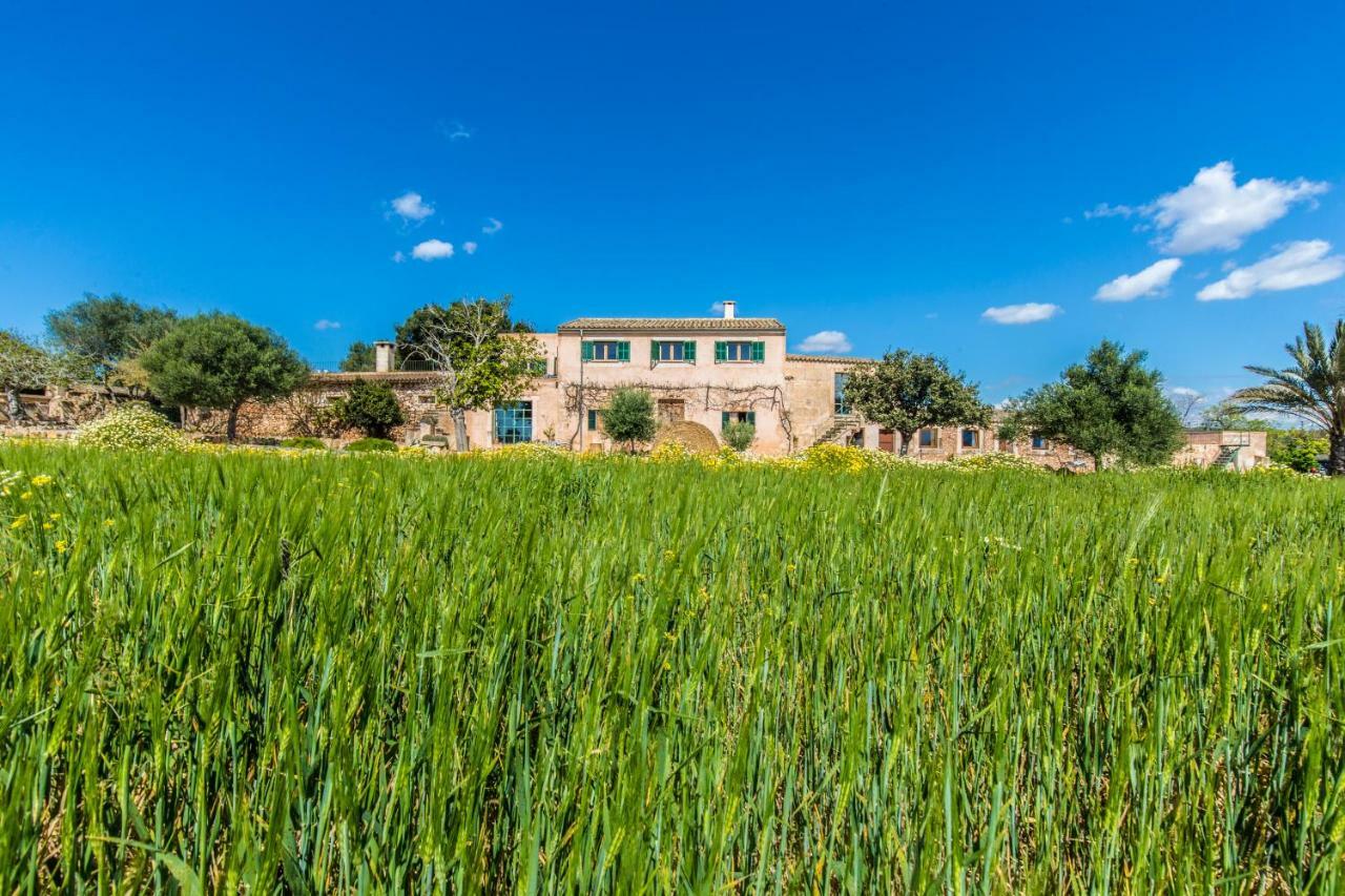 Finca Agroturismo Sa Cova Den Borino Campos  Exterior photo